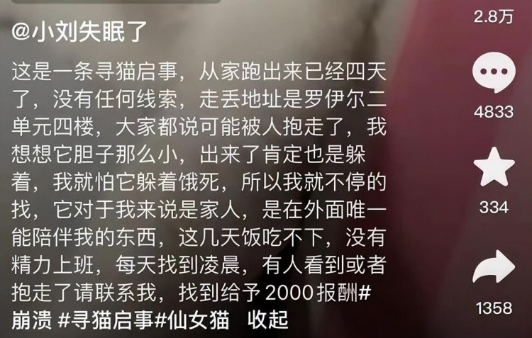 细思极恐！追我的男生偷我猫扔进河里还假惺惺陪我找猫到深夜.