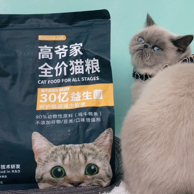 养猫必看：5款热门猫粮测评选粮不迷茫