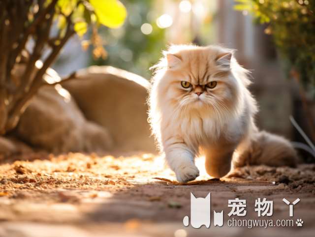 唐山开展“文明唐山·规范养犬” 专项治理联合统一行动