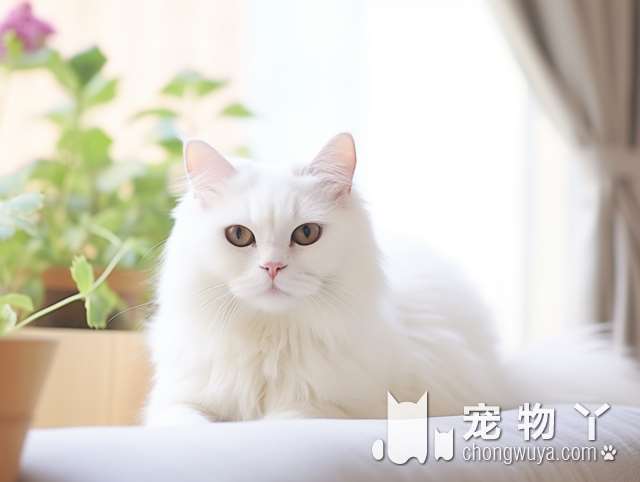 宠物生活馆，狗狗猫咪都在等你来，快来体验吧!